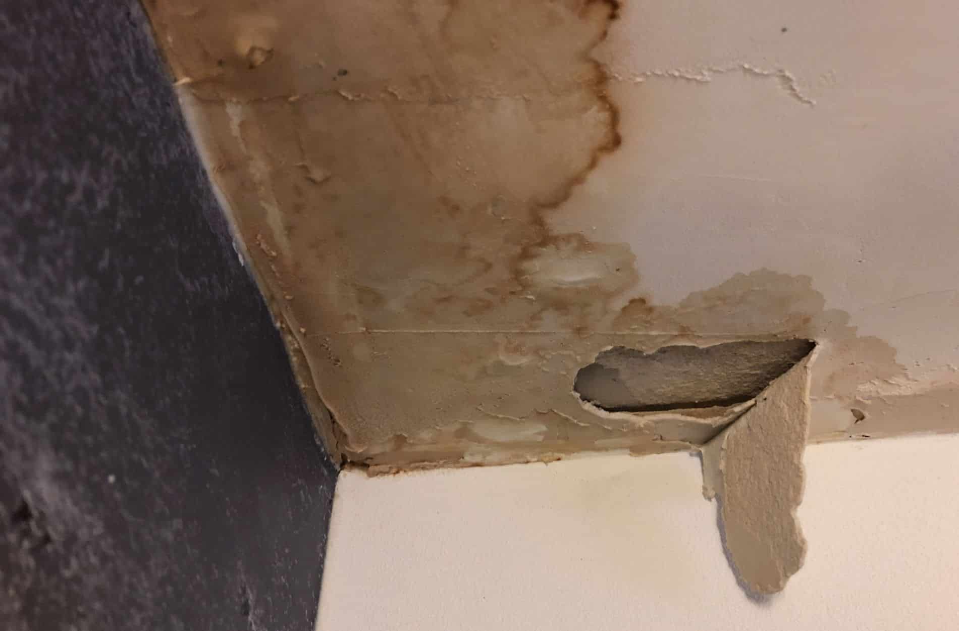 slab leak